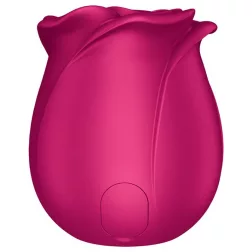   Satisfyer Pro 2 Classic Blossom léghullámos és pulzációs csiklóizgató (rózsaszín)
