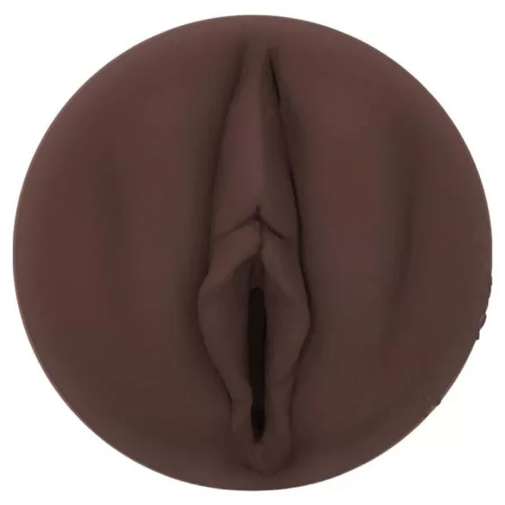 Fleshlight Girls Nicole Kitt punci (Purrrrrfection betéttel)