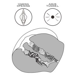 LoveToy Streetgirl's #11 maszturbátor tangával