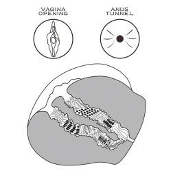 LoveToy Streetgirl's #13 maszturbátor tangával